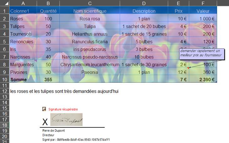 Une image contenant texte, capture d’écran, logiciel, affichage

Description générée automatiquement