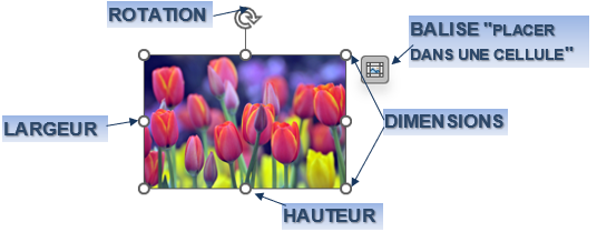 Une image contenant texte, capture d’écran, graphisme, Graphique

Le contenu généré par l’IA peut être incorrect.
