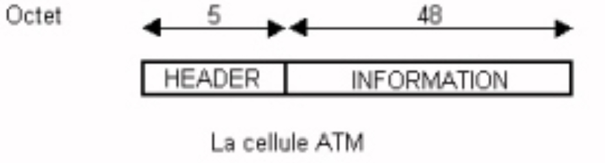 celluleatm