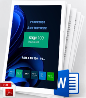 licence du cours sage 100-paie-rh utilisation
